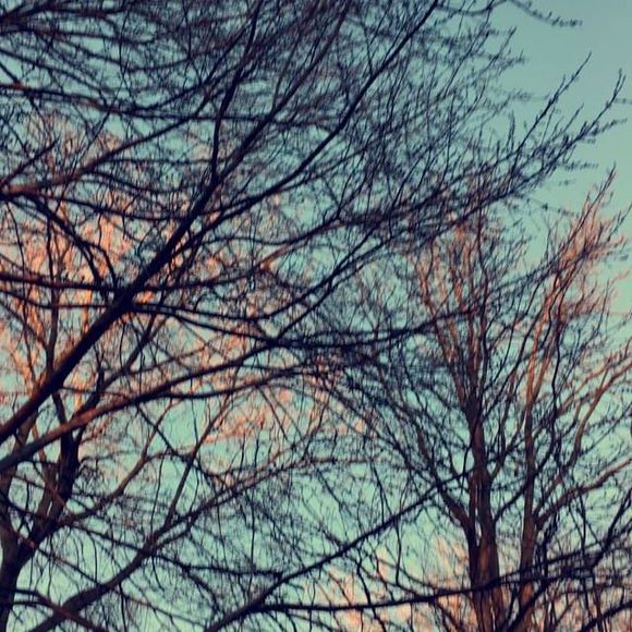 Meet your Posher, Peyton - Picture 1 of 1